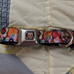 Dog, colorful Day of the Dead dog collar for med dog